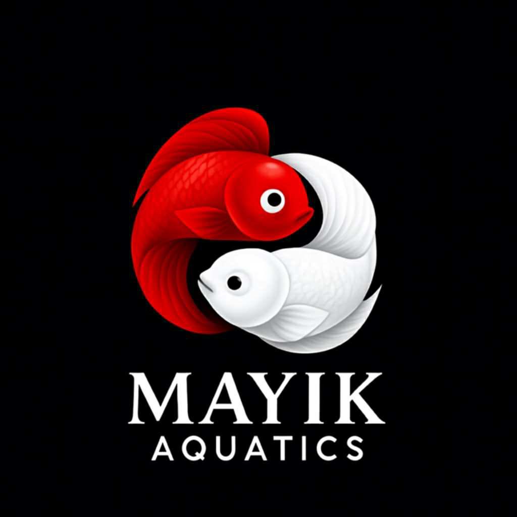 Mayik Manes Catacutan