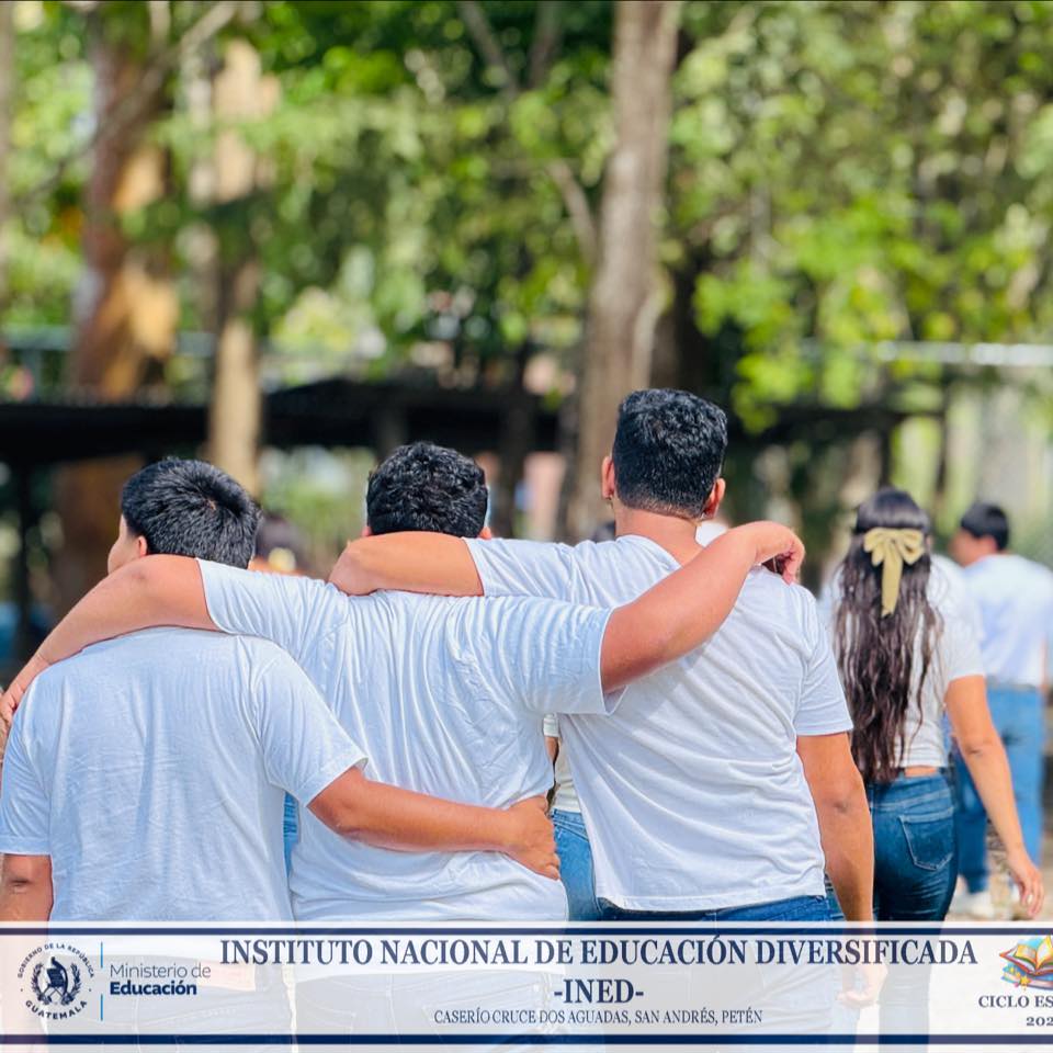 Instituto Nacional de Educación Diversificada -INED