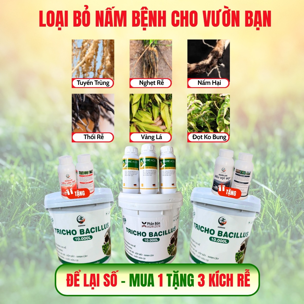 Tricho Bacillus Giá Xưởng Cho Nhà Nông - 0775251449 | Thủ Đức