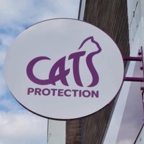 Cats Protection Acomb