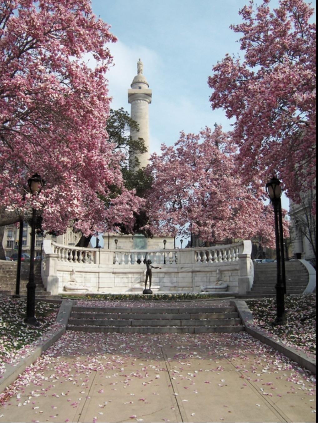 Baltimore... - Baltimore Office of Promotion & The Arts