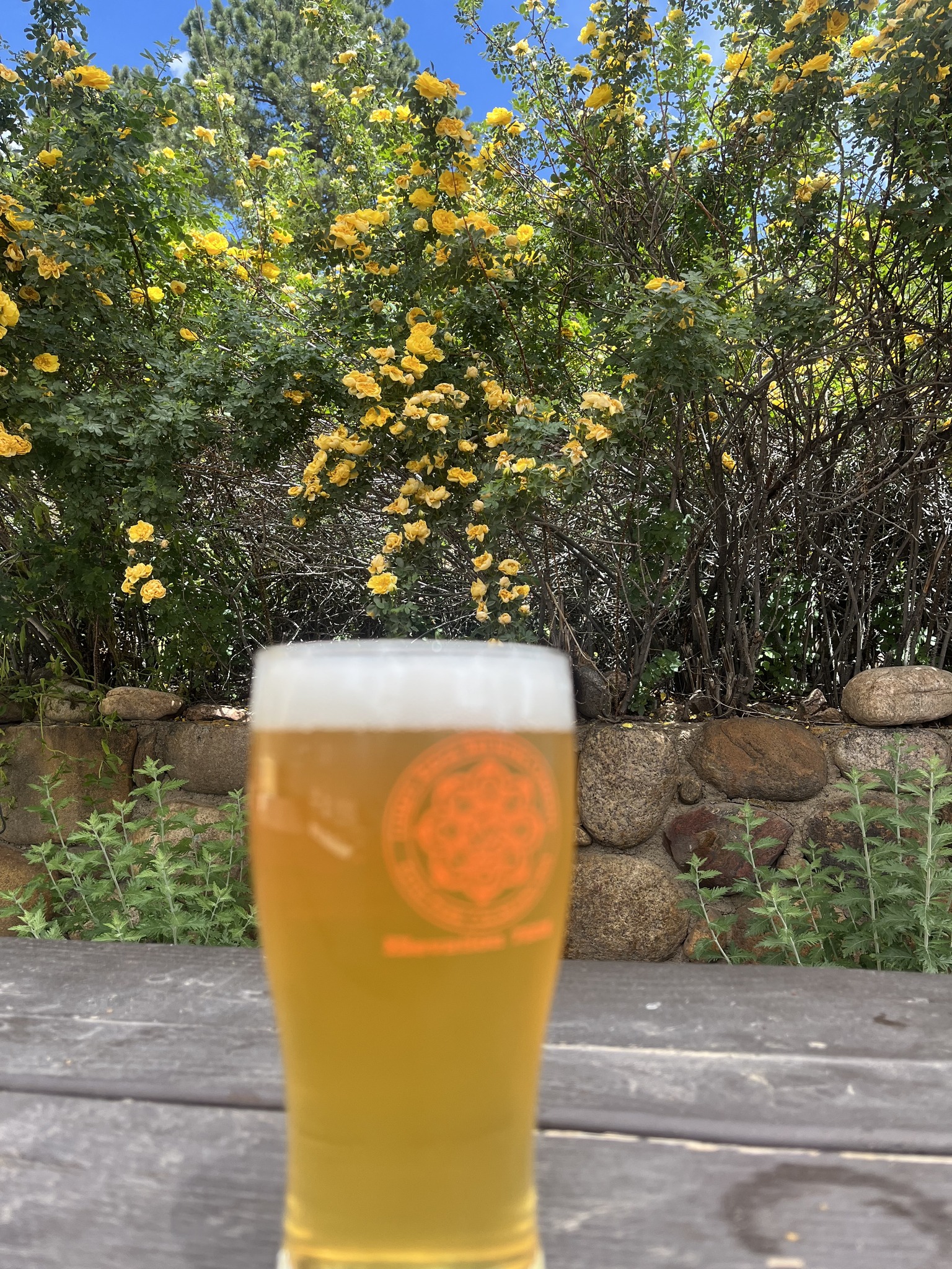 Lumpy Ridge Brewing Co. Publick House | Estes Park CO