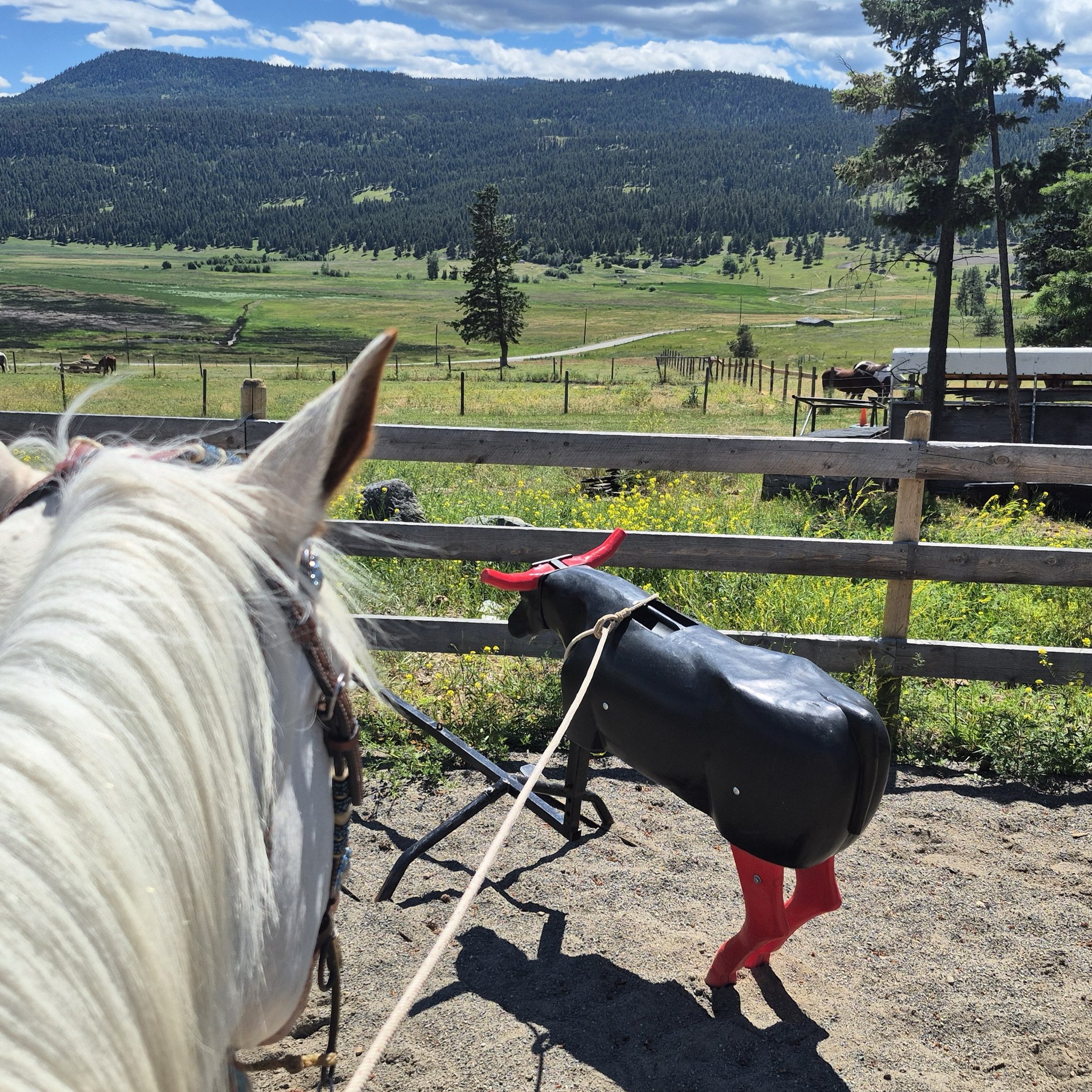 Gold Trails & Ghost Towns | In Sandon, BC, one of the most iconic ghost ...