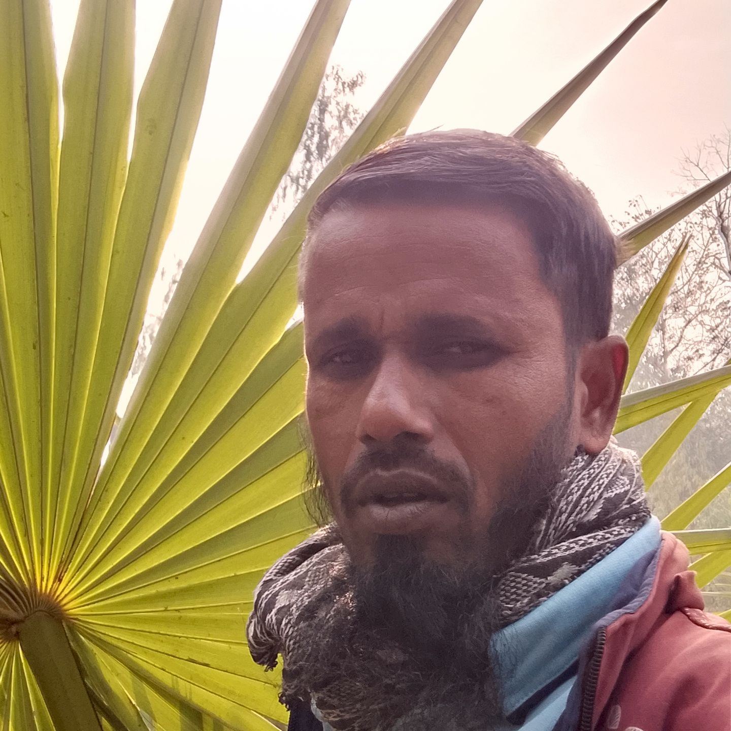 Shadekul Islam