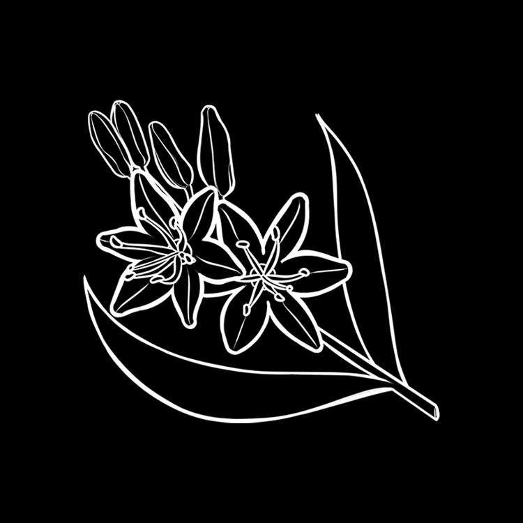 Asphodel.