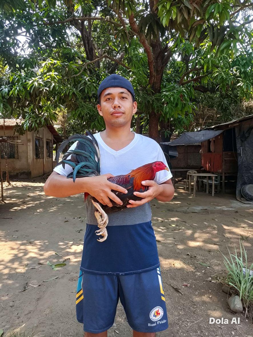 Burnok Gamefowl