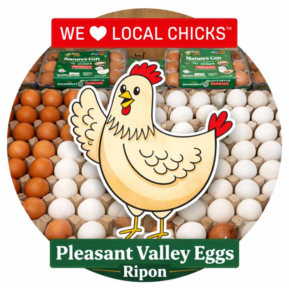Pleasant Valley Eggs-Ripon | Ripon CA