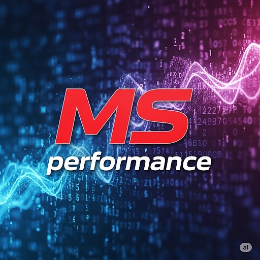 MS performance chiptuning&real dyno | Hajdúböszörmény