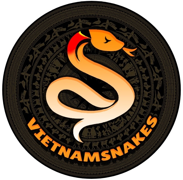 Tổng hợp thông tin nhận dạng rắn tại Việt Nam (SIIVN) - Vietnam Snakes ...