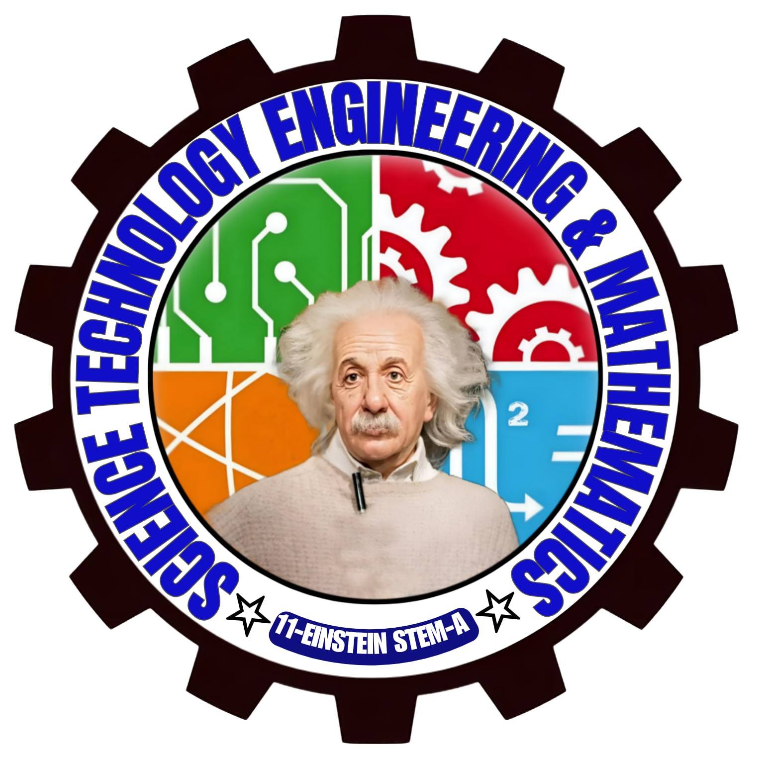 11 EINSTEIN-Science Technology Engineering & Mathematics