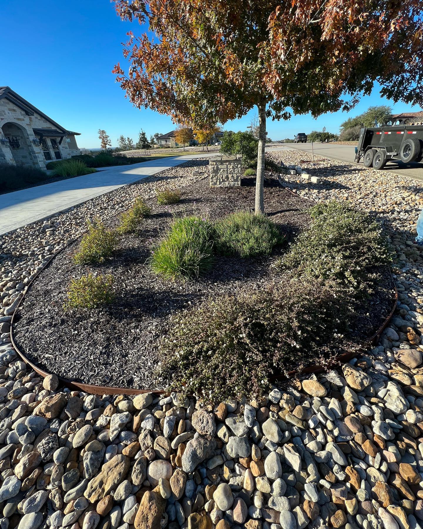 Loyal Landscape & Tree Service | New Braunfels TX