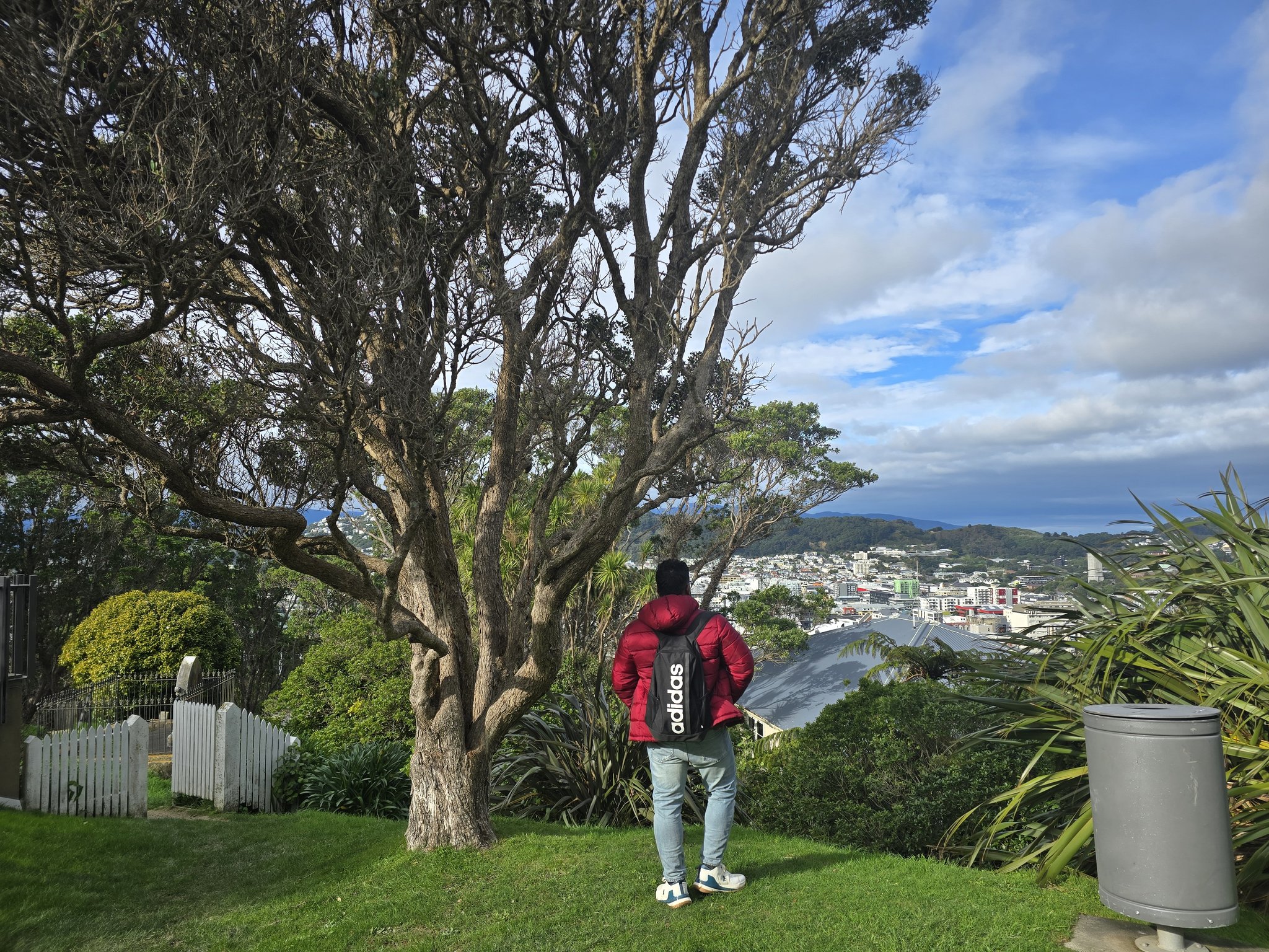 Map and Memories | Wellington