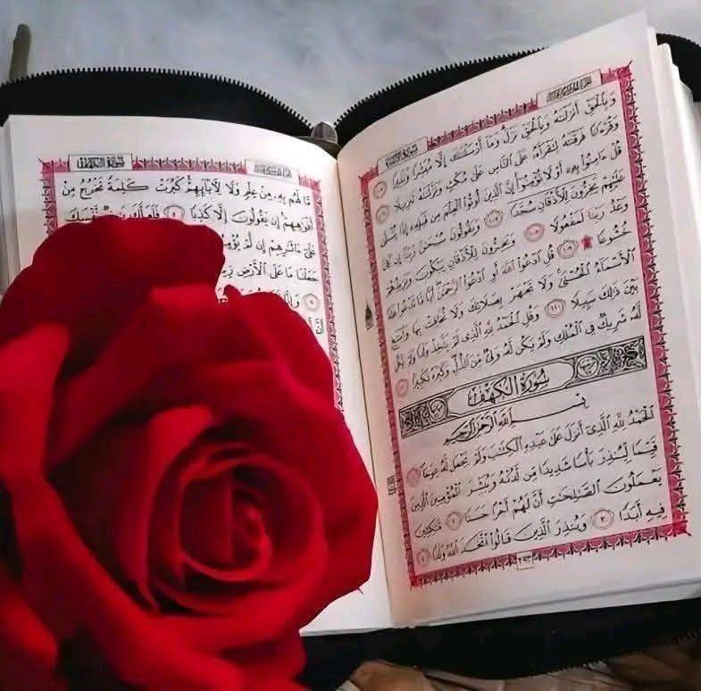 Amiiiiiiiiiin Amiiiiiiiiiin yaa rabii lallmin 🤲🤲🤲🤲 | Faximaa Amadee