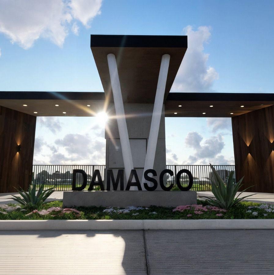 proyecto damasco | Acacías