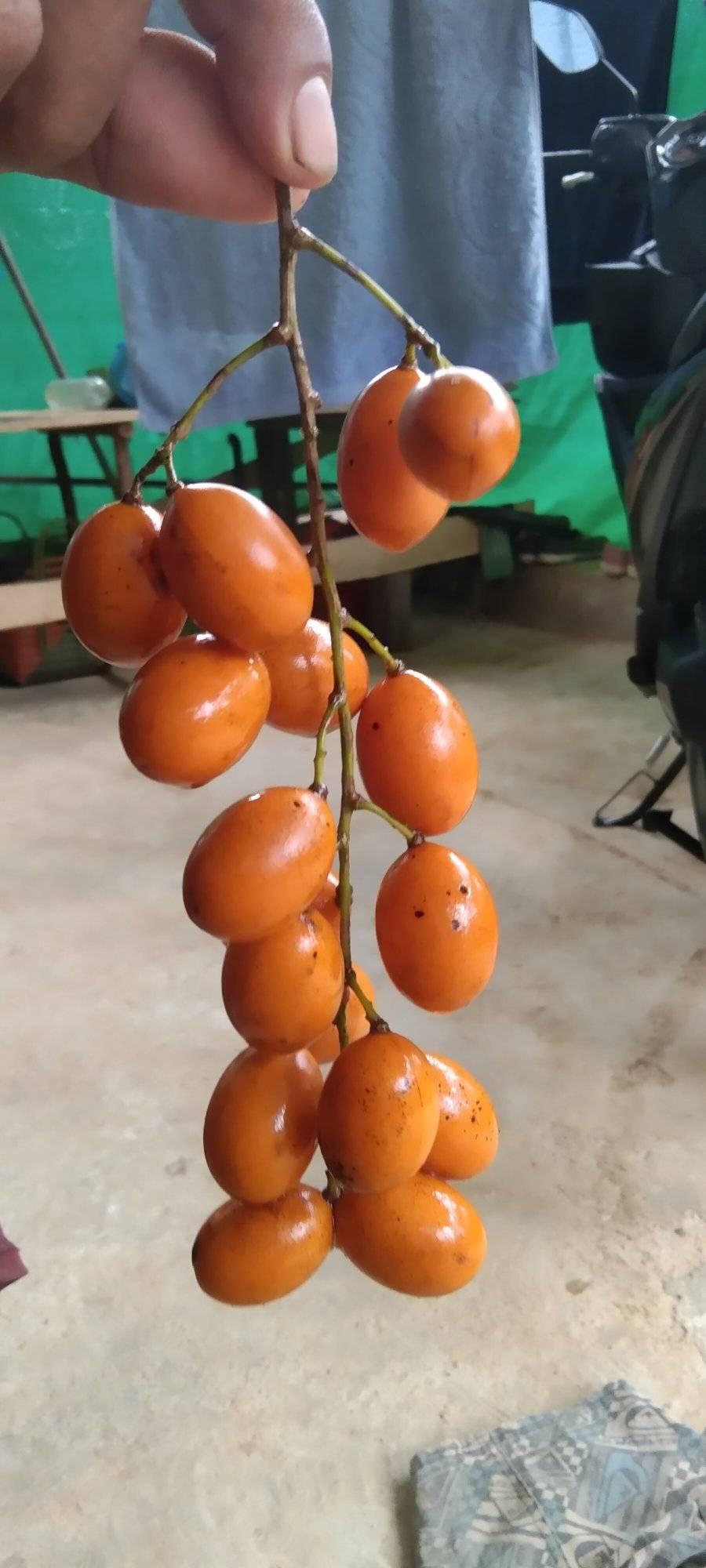 Meta suke dengan Blodar ku jadi aku posting Blodar jak say..he..he..😁🤭 ...