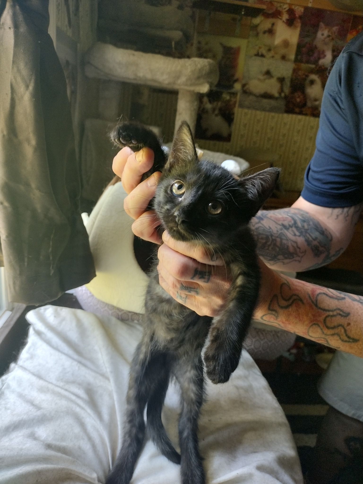 Robert's Rescue | Summerville SC