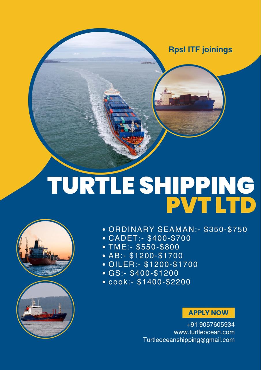 Turtle Shipping Services | Bangalore