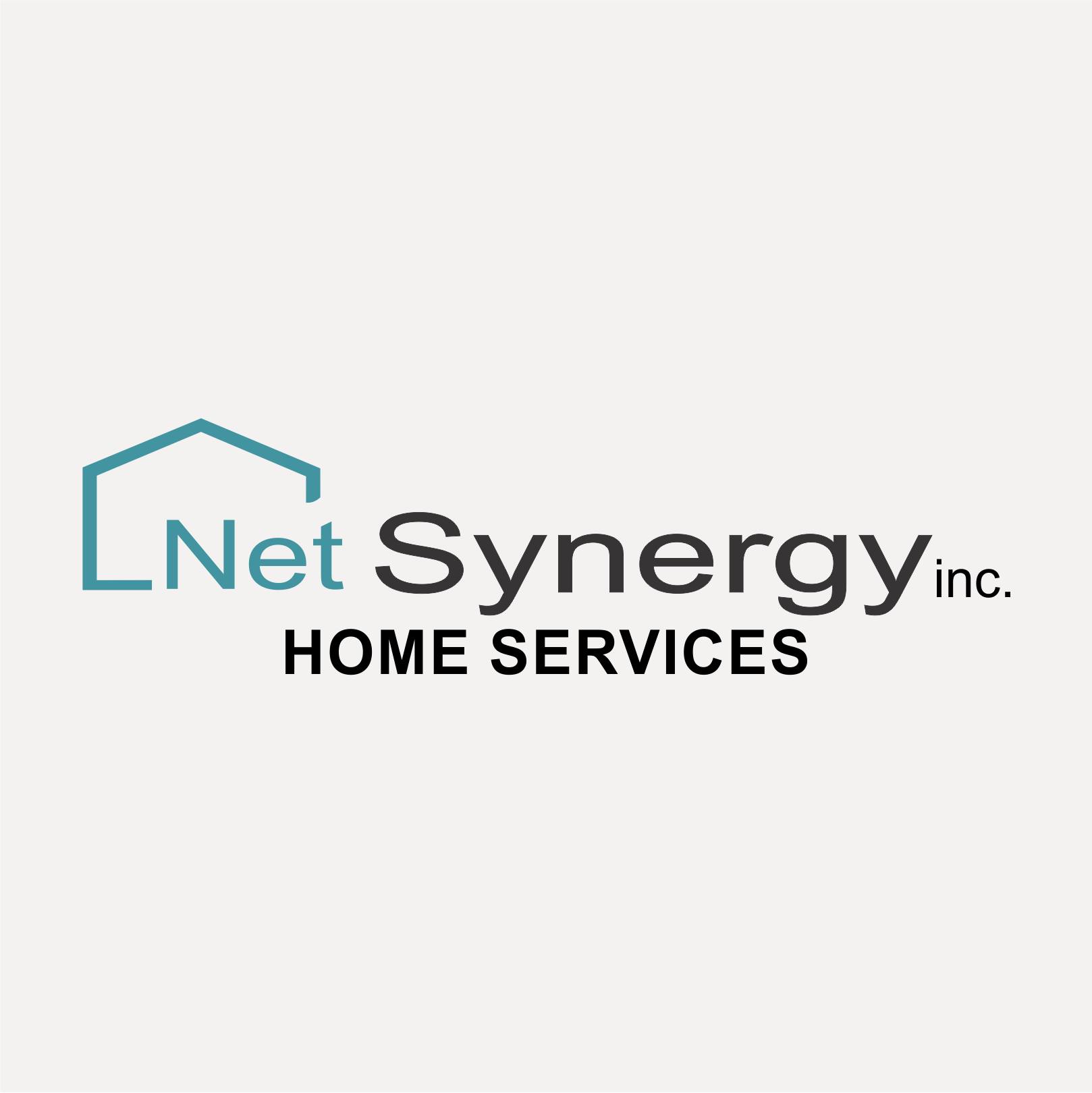 NetSynergy Inc. | Durham NC