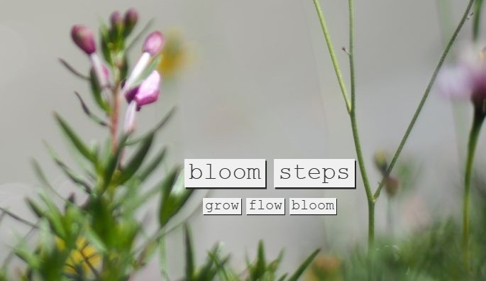 Bloom Steps | Rotterdam