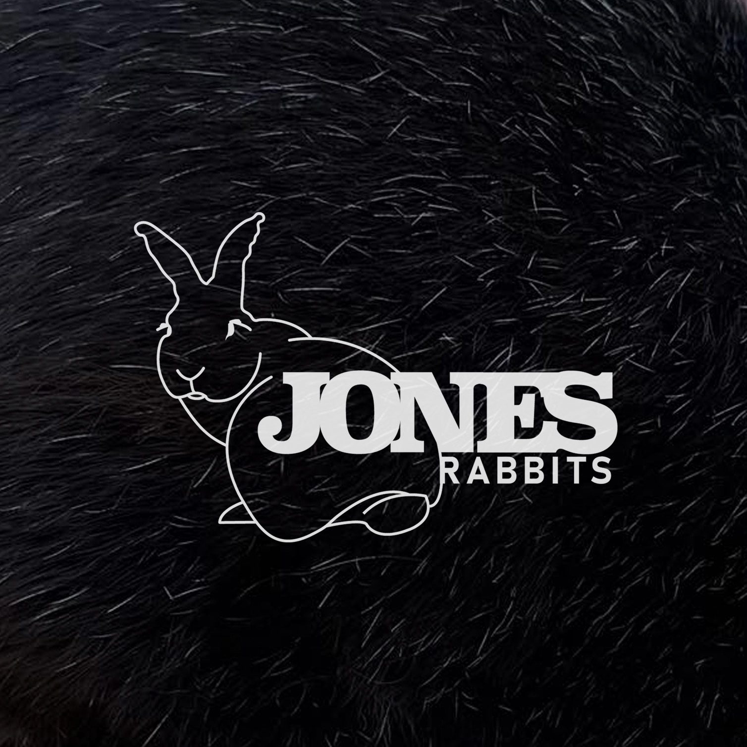Rabbit Breeds and Aggression Comparison