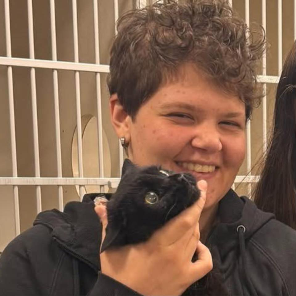 Hagerstown Happenings (ANYTHING GOES) | Hey everyone! There’s a stray ...