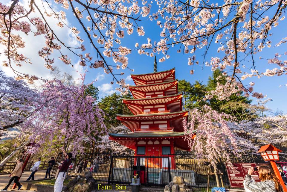 台灣花火攝影情報 | 明天7/25大稻埕首場煙火即將登場 | Facebook