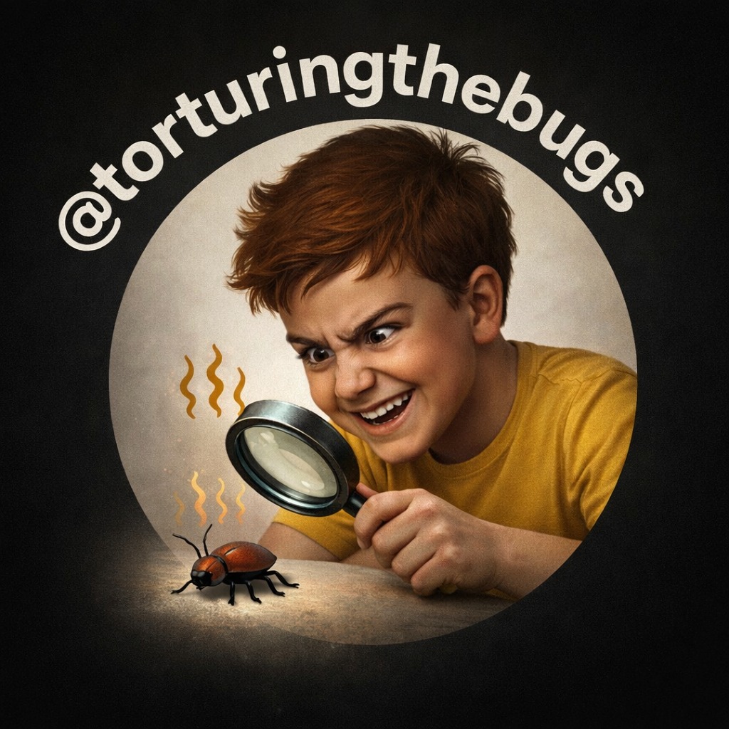 Torturing The Bugs