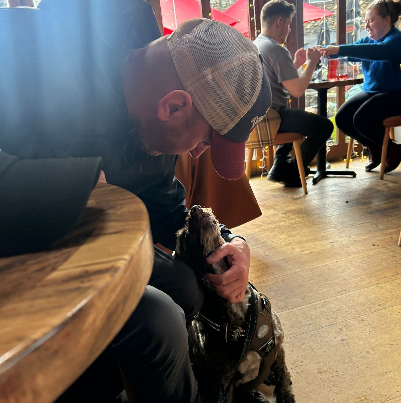 Cockapoo Owners | Honest opinions only after owning a Cockapoo, would ...