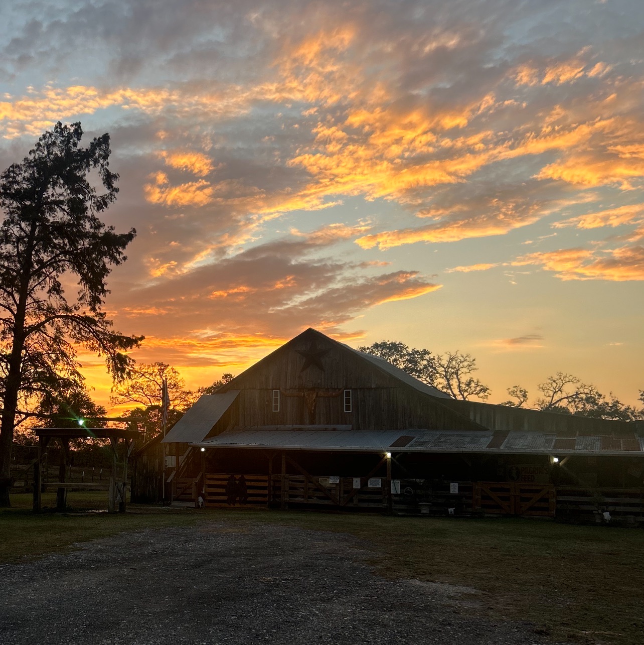 Curated visual reference: Picture Idea: Dandc Horses Boarding Stables