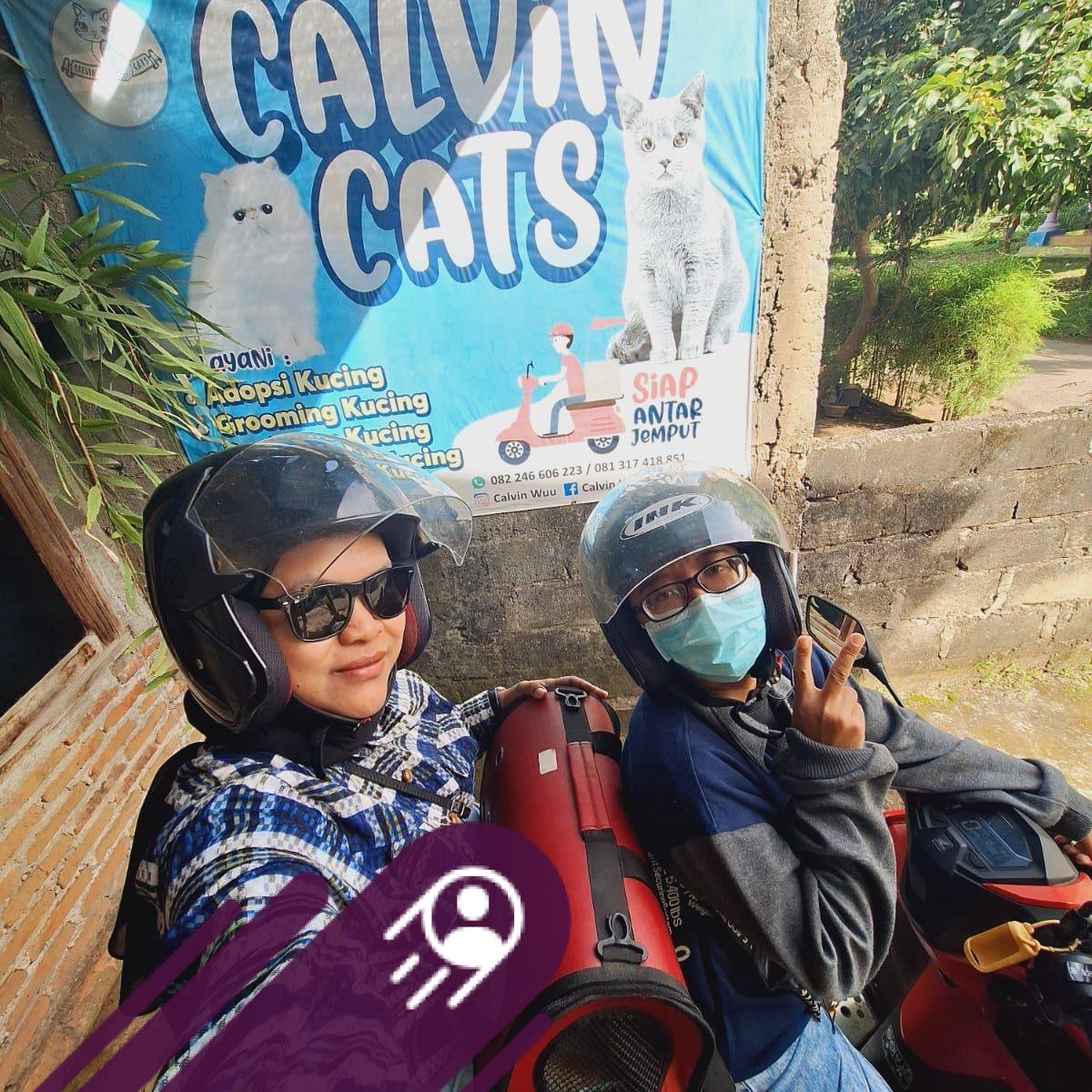 Calvin Cats - Calvin Cats added a new photo.