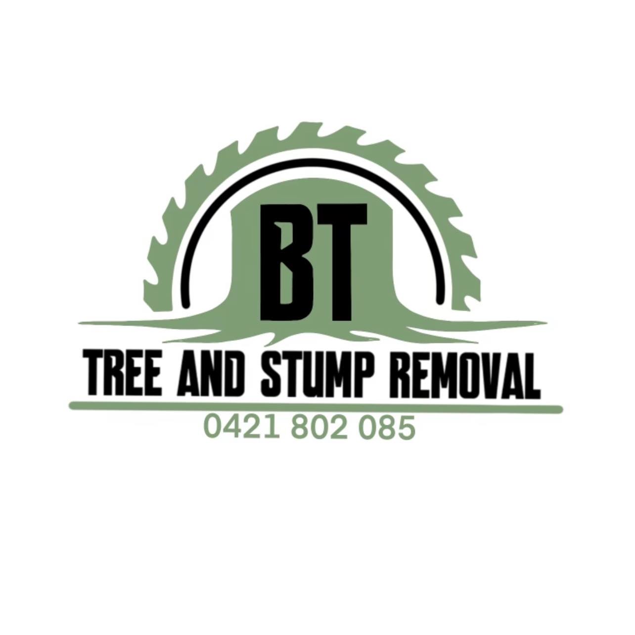BT Tree And Stump Removal | Gold Coast QLD