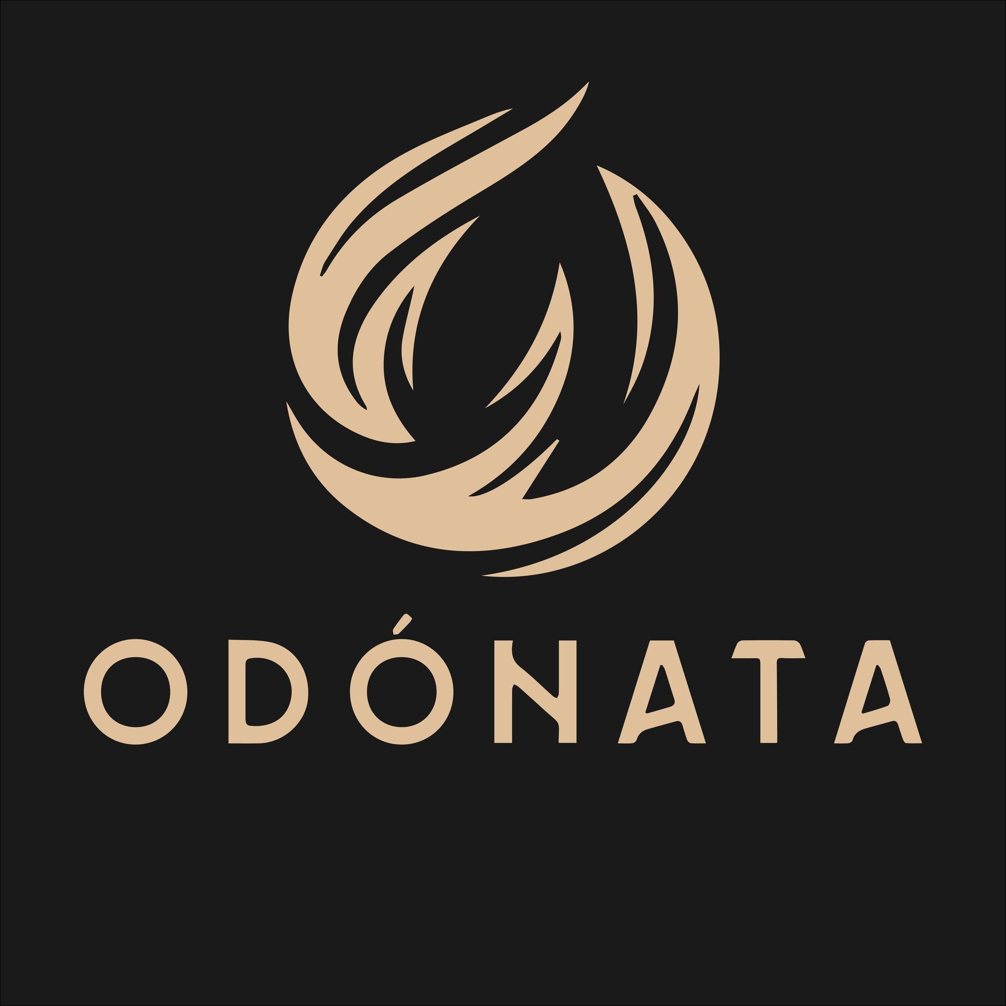 Odónata Estudio | Salina Cruz