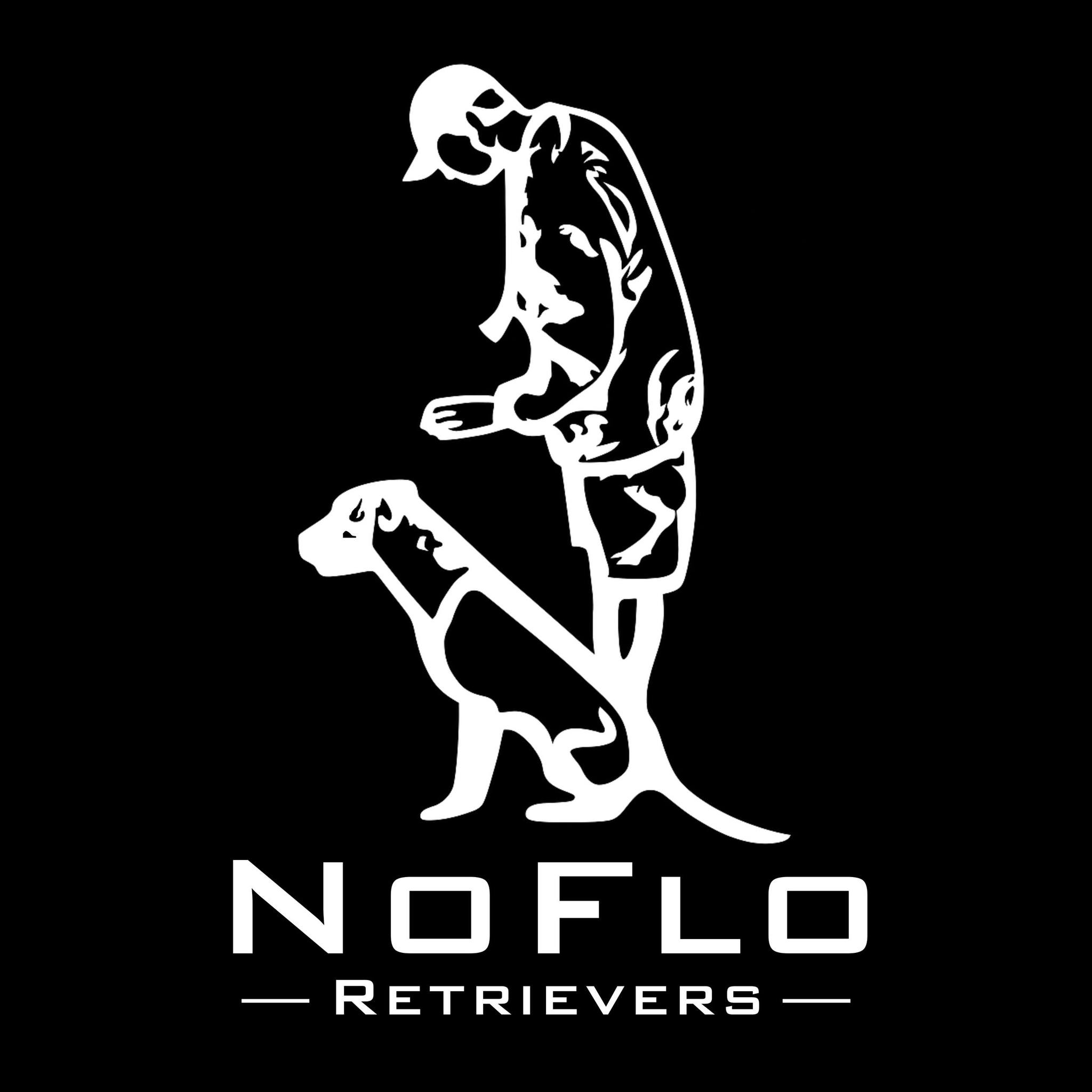 NoFlo Retrievers