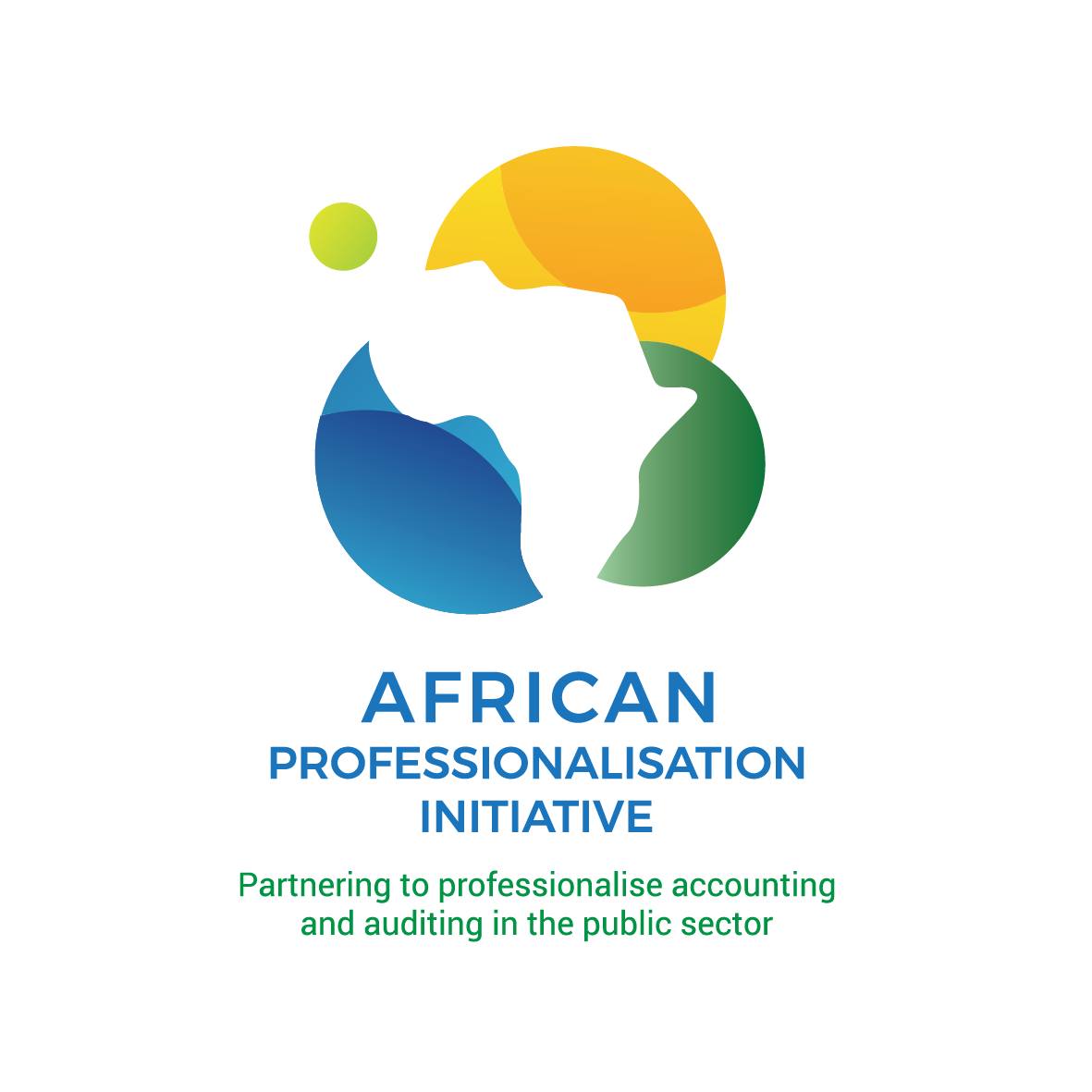 The African professionalisation Initiative | Pretoria