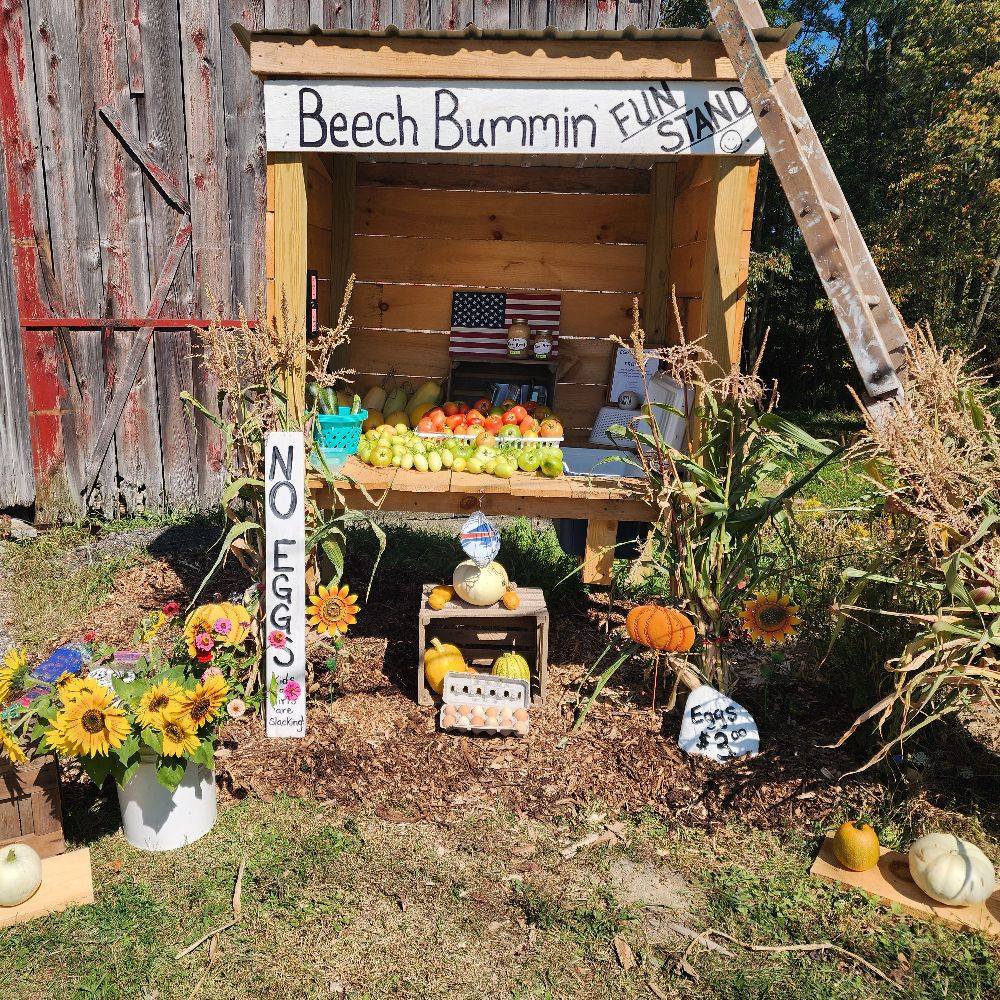 Beech Bummin' Fun Stand