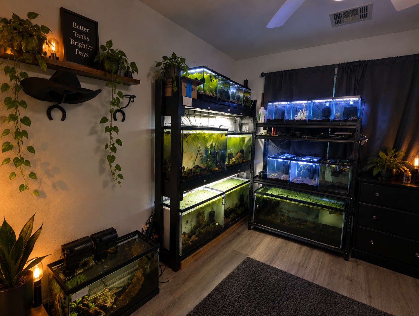 Fresh Water & aquarium fish | What do you do with your excess pest ...