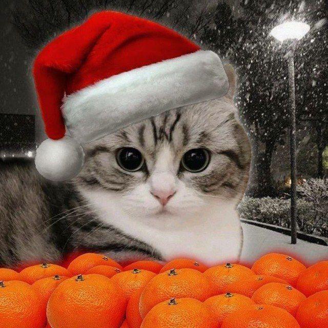 Lightburn Community | good day I seem to have lost my Mask facility on ...