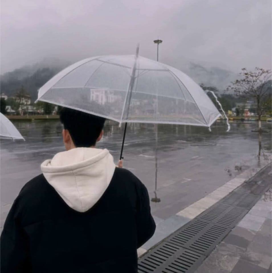Mèo Đen 210 | Facebook