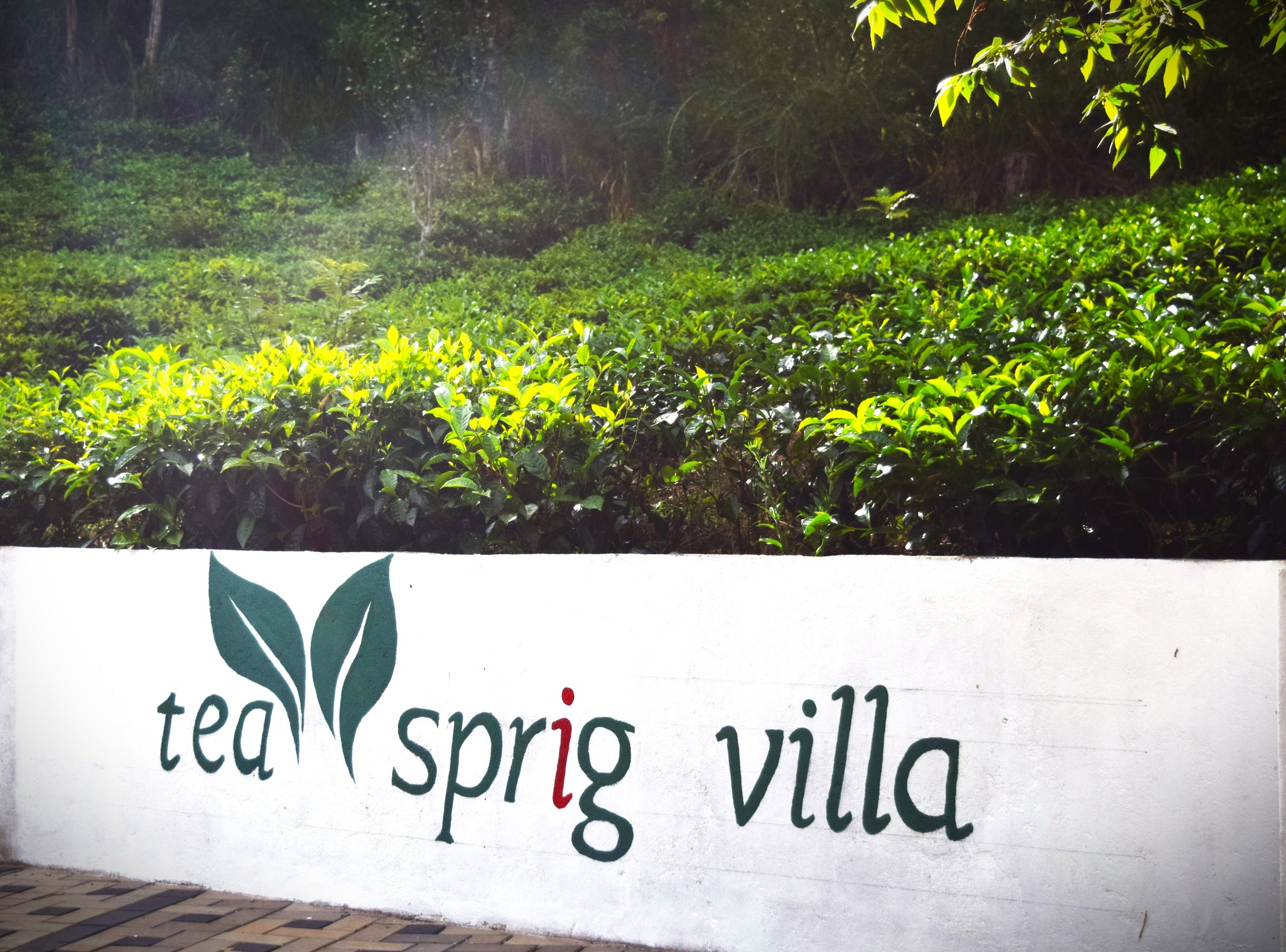 Tea sprig villa