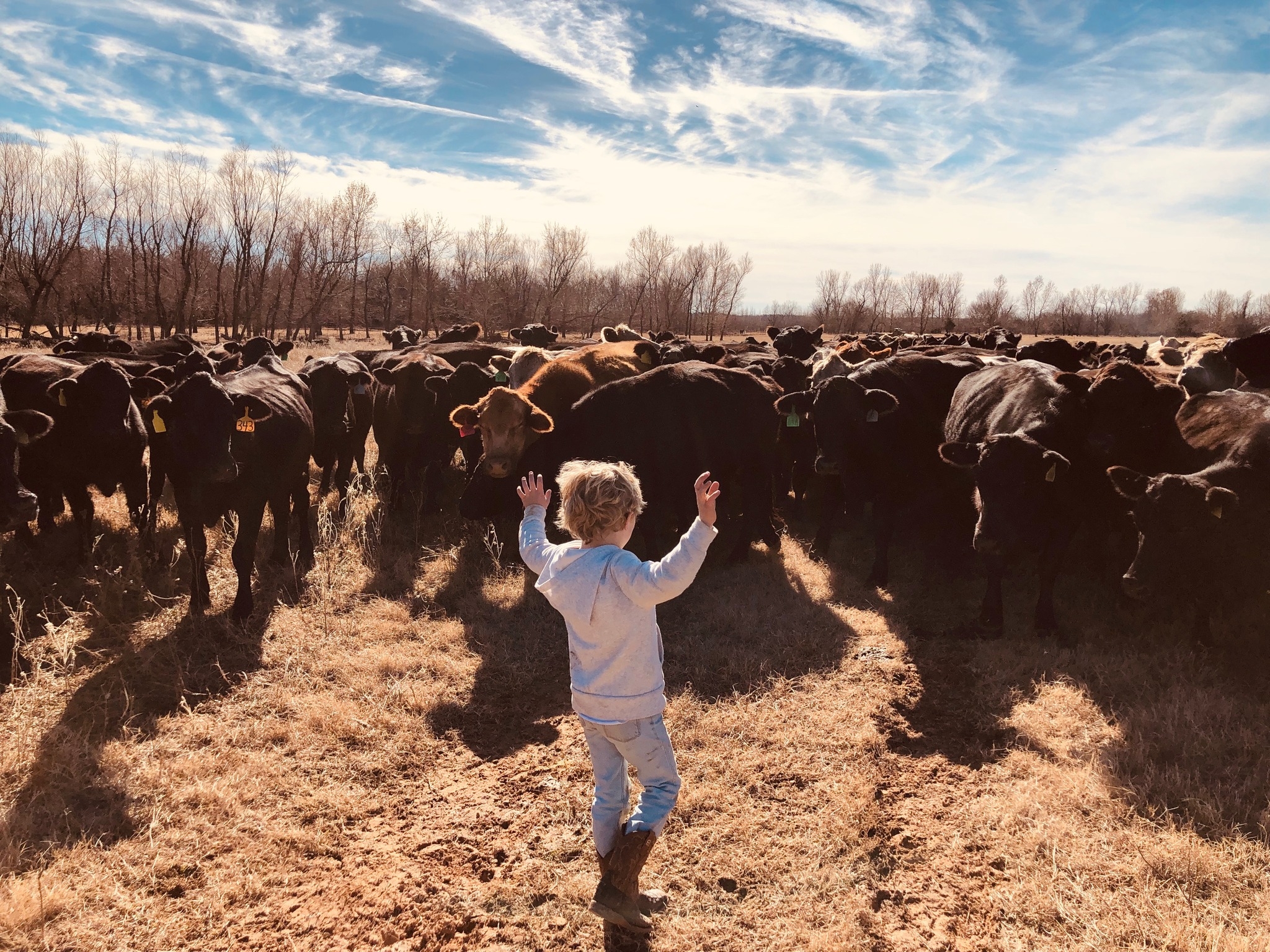 Rivers Wild Ranch