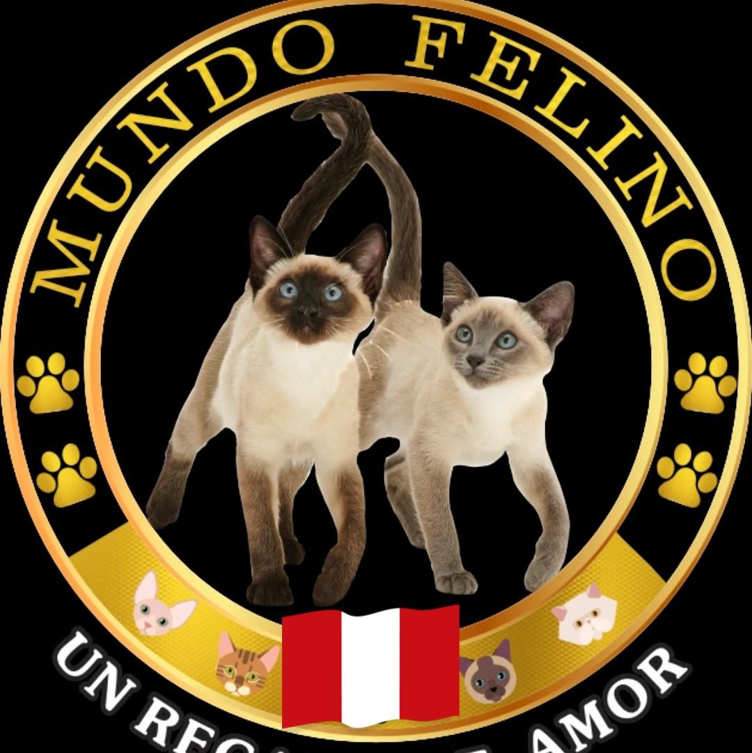 Mundo Felino PERÚ
