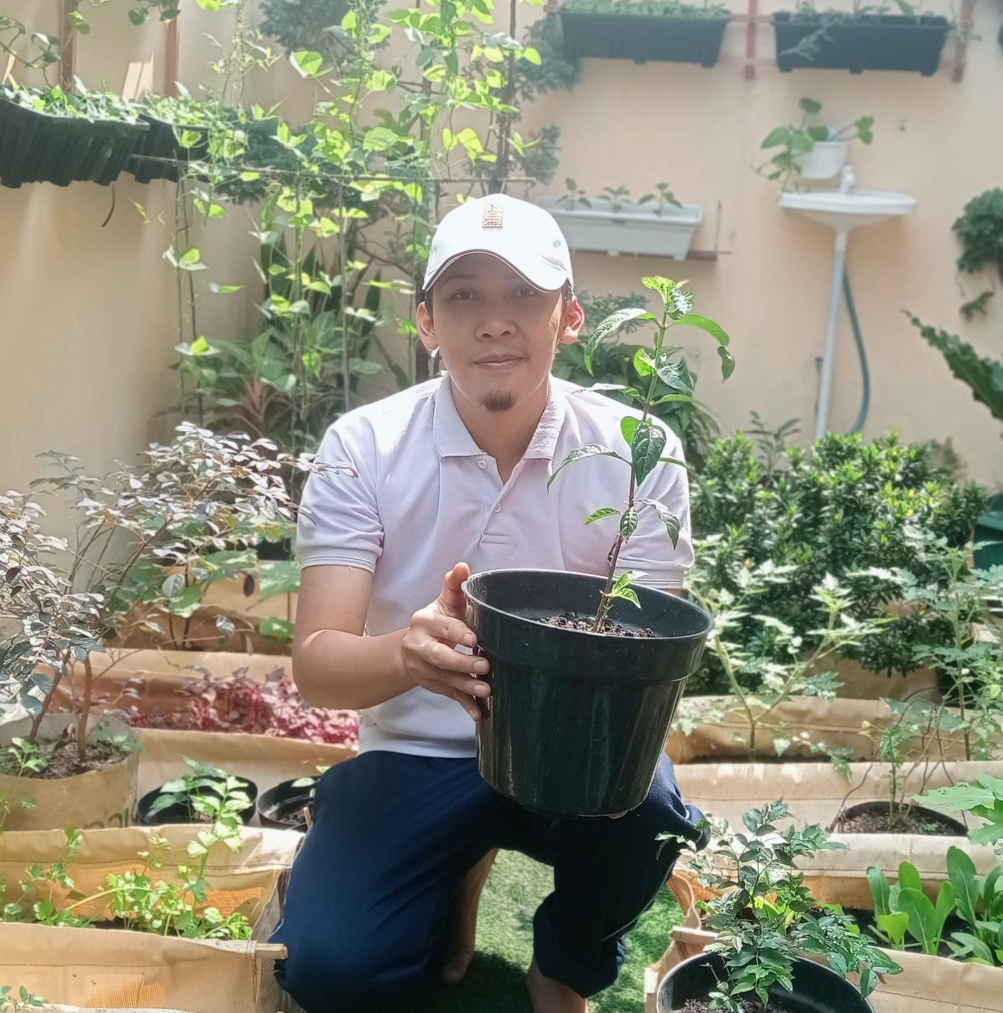 Bahkan di pagar halaman pun bisa, sepanjang terkena sinar matahari ...