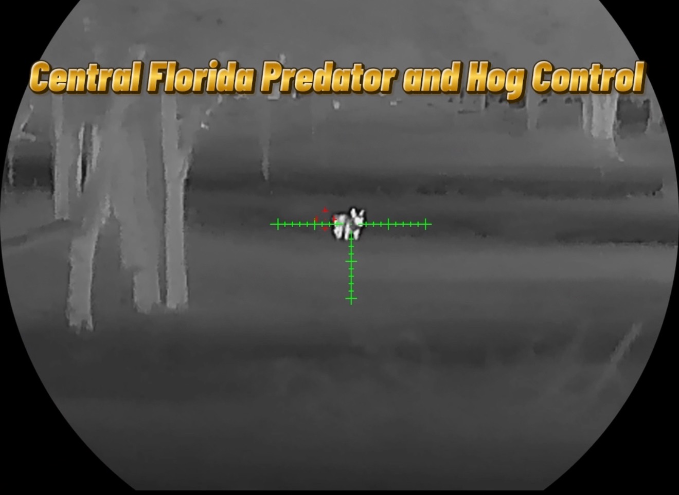 Central Florida Predator and Hog Control | Groveland FL