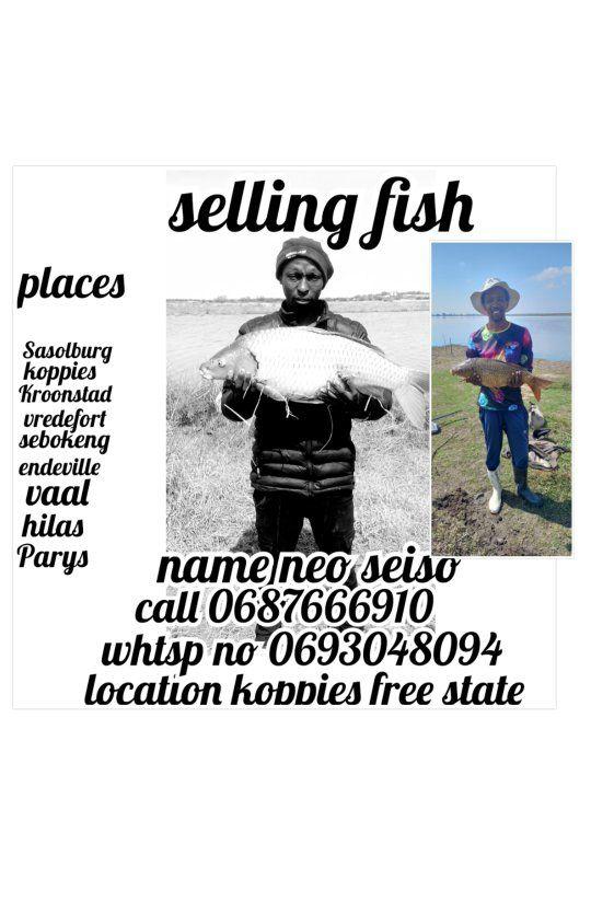 Kasi Gone Fishing(KGF) | 😭 I don't HV transport... | Facebook