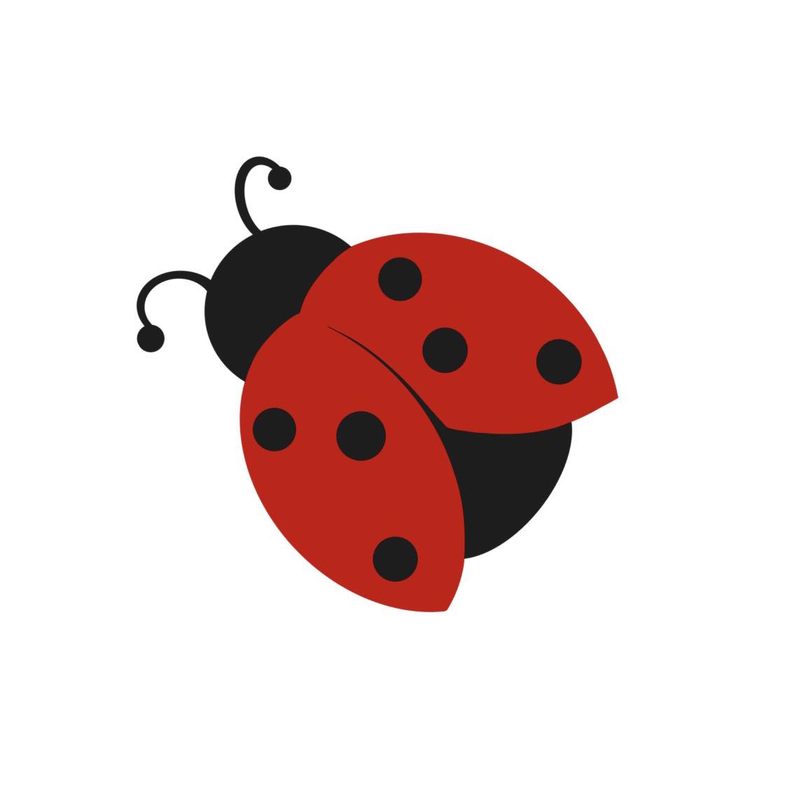 Give A Hug Ladybug