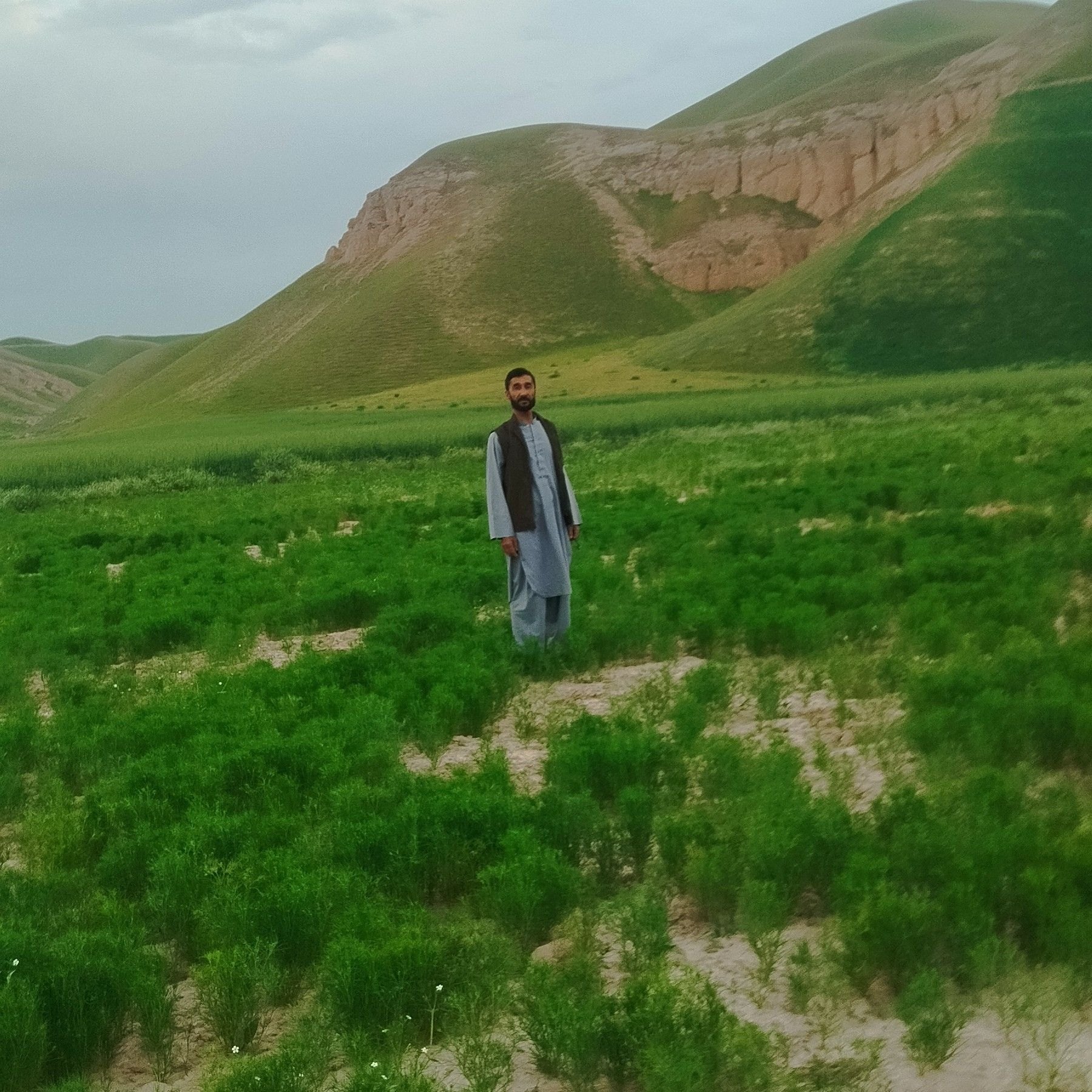 در باره این مرد چی گفتنی دارید | Omid Ahmady | Facebook