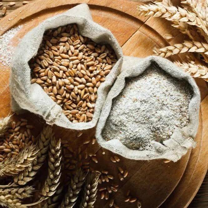 ئێستا ئه‌م گه‌نمه‌ عه‌له‌فیه‌ به‌رده‌سته‌ هه‌رزانترین نرخ 07701546334 ...