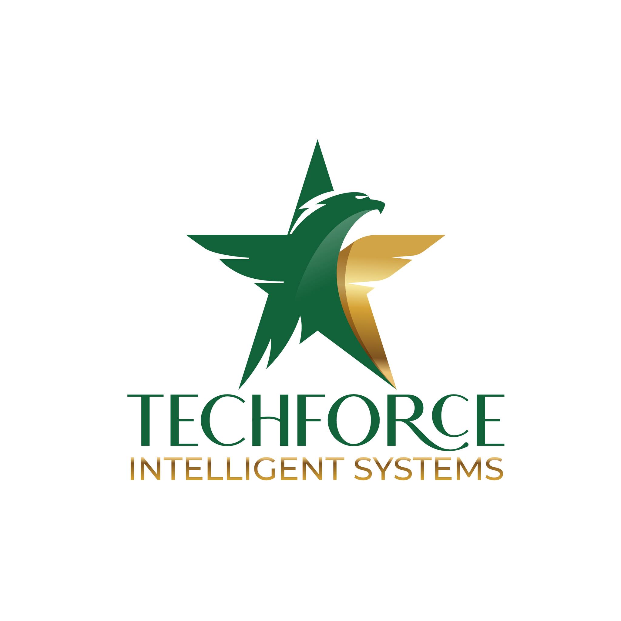 TechForce Intelligent Systems | Lahore