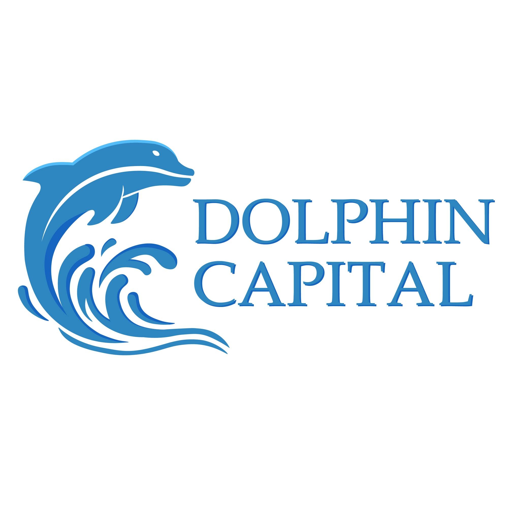 Inside Dolphin Capital Investors: A Comprehensive Overview