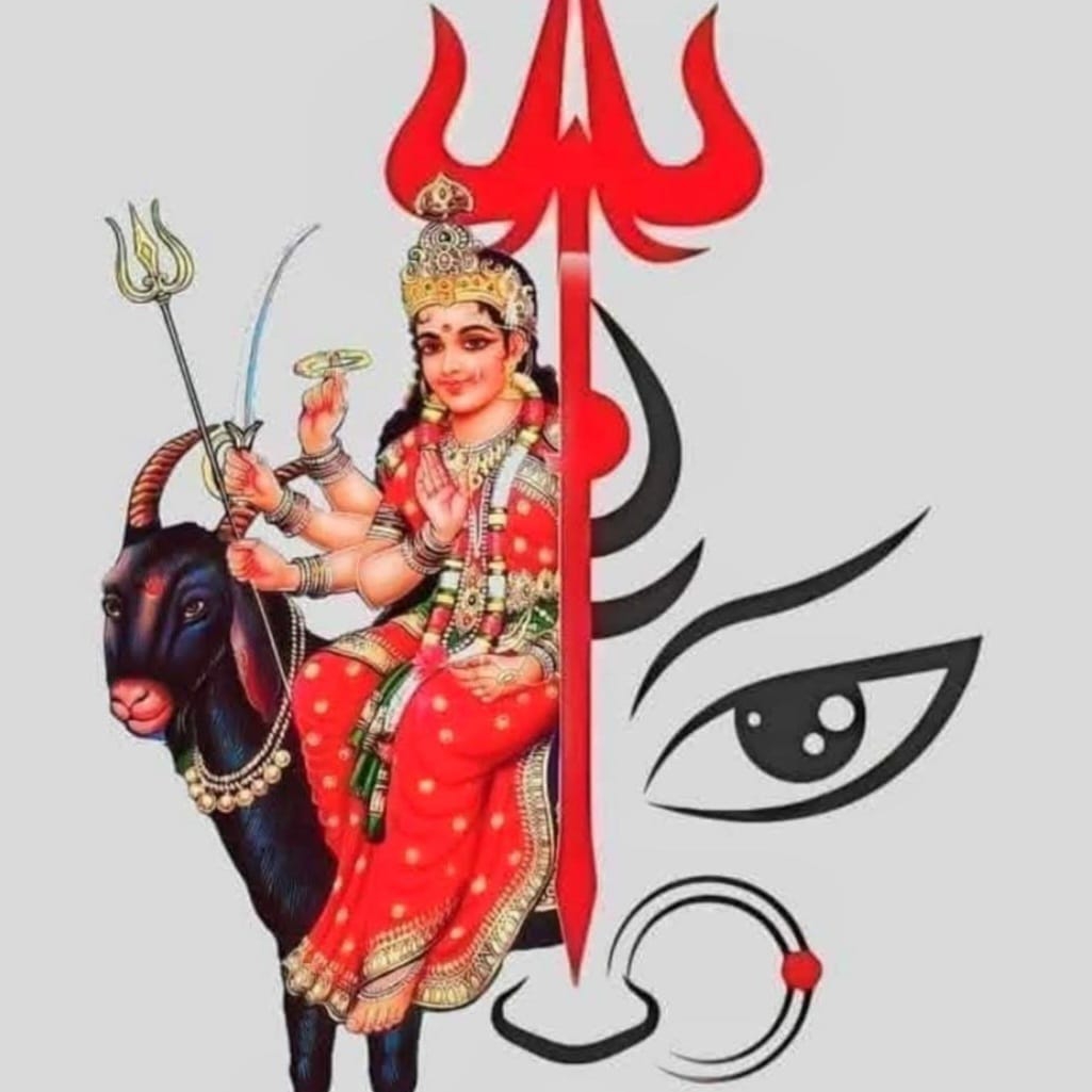 Shailedh Bharwad on Reels